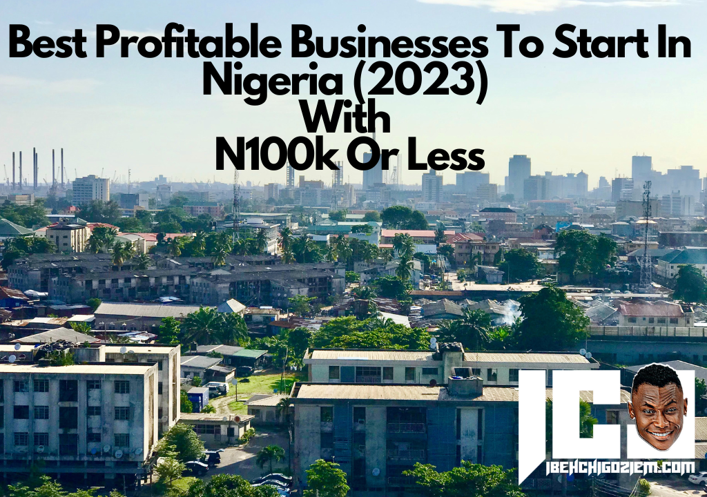 Best Profitable Businesses To Start In Nigeria (2023) With N100k Or Less